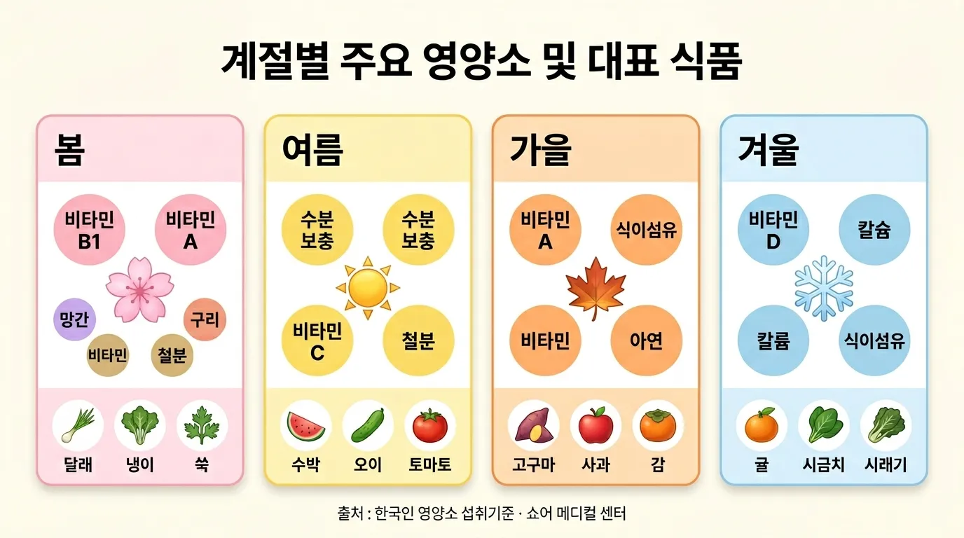 계절별 면역 영양소 인포그래픽